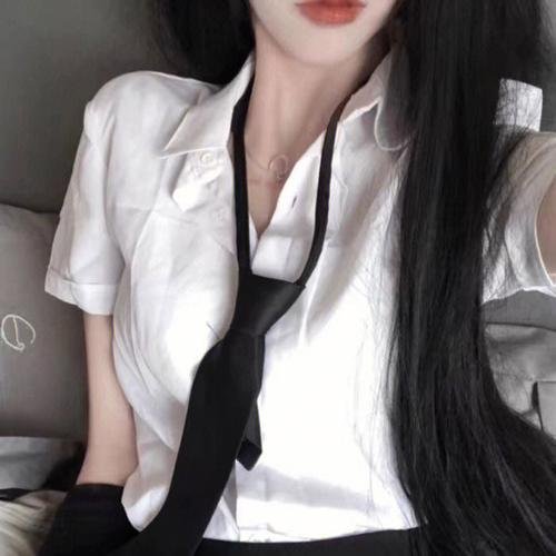公仆2